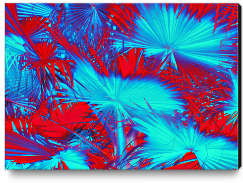 closeup palm leaf texture abstract background in blue and red Canvas Print by Timmy333