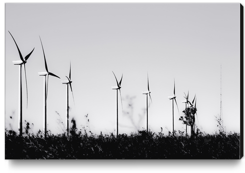 desert with wind turbine in black and white Canvas Print by Timmy333