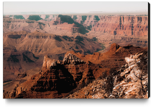 Summer view in the desert at Grand Canyon national park USA Canvas Print by Timmy333