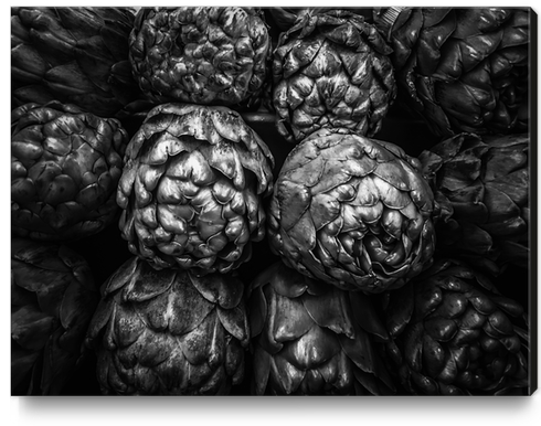 closeup artichoke texture background in black and white Canvas Print by Timmy333