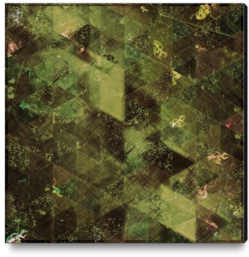 Abstract GEO X 0.12 Canvas Print by Amir Faysal