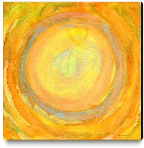 Focus on the Center  Canvas Print by Heidi Capitaine