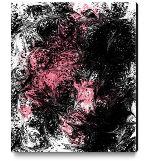 ABS X 0.14 Canvas Print by Amir Faysal