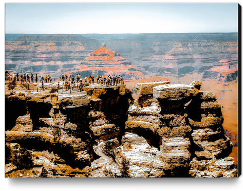 desert with blue sky at Grand Canyon national park, Arizona, USA Canvas Print by Timmy333