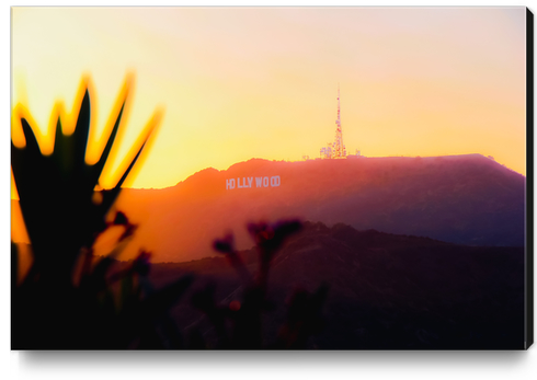 sunset sky at Hollywood Sign Los Angeles California USA Canvas Print by Timmy333