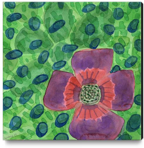 Single Purple Flower Canvas Print by Heidi Capitaine