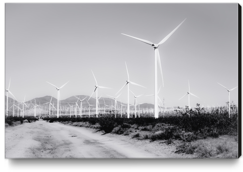 wind turbine and desert view in black and white Canvas Print by Timmy333