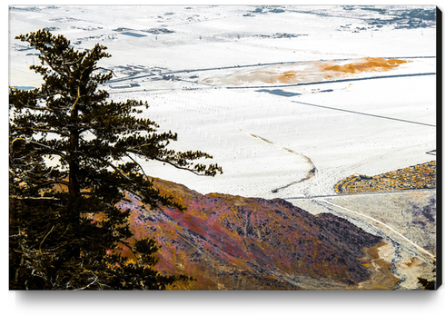 wind turbine in desert view from the mountain at Palm Springs, California, USA Canvas Print by Timmy333