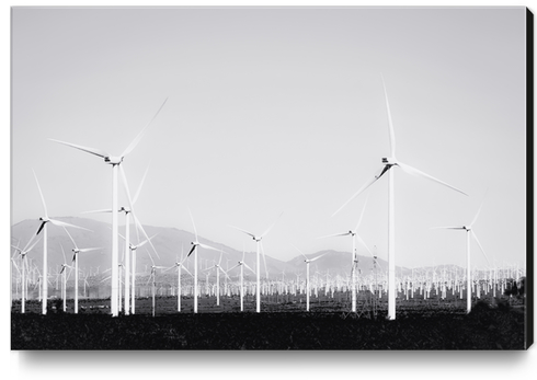 wind turbine in the desert in black and white Canvas Print by Timmy333