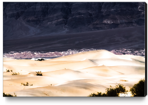 sand dunes at Death Valley national park, California, USA Canvas Print by Timmy333