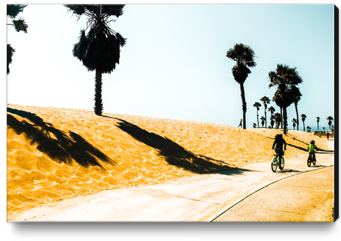 palm tree and sandy beach at Oxnard Beach, California, USA Canvas Print by Timmy333