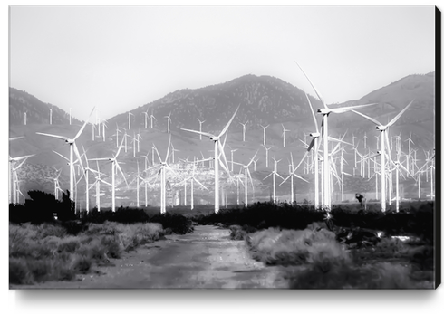 wind turbine and desert scenery in black and white Canvas Print by Timmy333