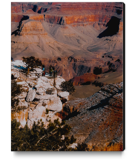 Desert scenic at Grand Canyon national park, Arizona, USA Canvas Print by Timmy333