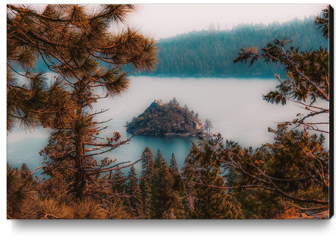 Pine tree and island at Emerald Bay Lake Tahoe California USA Canvas Print by Timmy333