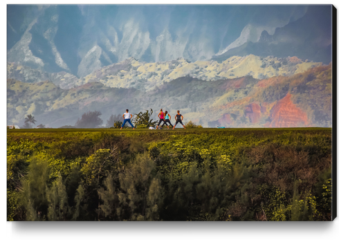 A group of people exercise on the mountain with beautiful view at Kauai, Hawaii Canvas Print by Timmy333