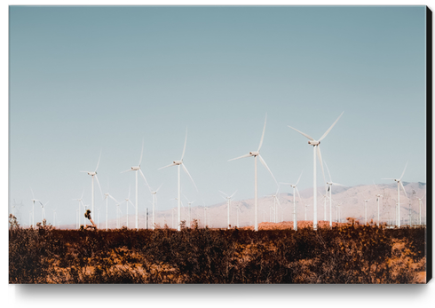 Wind turbine in the desert with summer blue sky at Kern County California USA Canvas Print by Timmy333