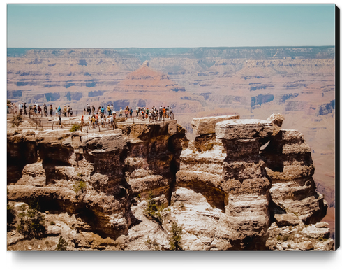 Desert with mountain view at Grand Canyon national park Arizona USA Canvas Print by Timmy333