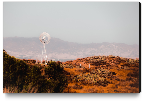 windmill and green cactus garden with mountain view and blue sky Canvas Print by Timmy333