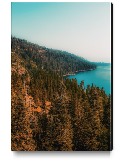 pine tree and lake at Emerald Bay Lake Tahoe California USA Canvas Print by Timmy333