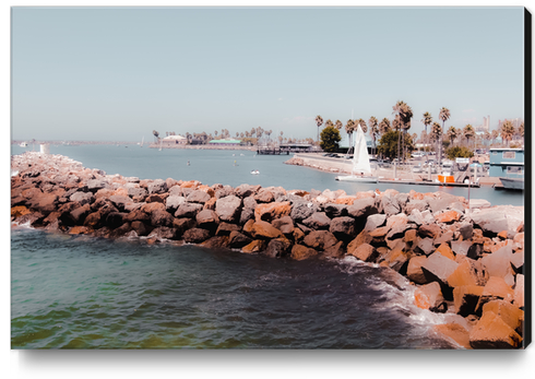 Summer beach with blue sky at Redondo beach California USA Canvas Print by Timmy333