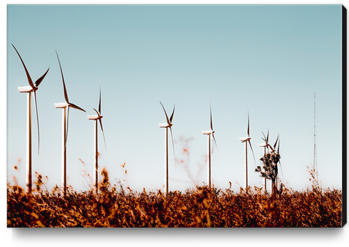 desert and windmill with blue sky in California, USA Canvas Print by Timmy333