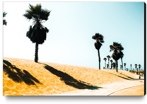 summer sandy beach and palm tree at Oxnard Beach, California, USA Canvas Print by Timmy333