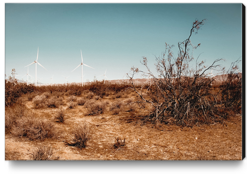 Desert and wind turbine with blue sky at Kern County California USA Canvas Print by Timmy333