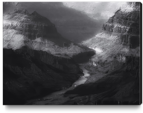 Desert at Grand Canyon national park Arizona USA in black and white Canvas Print by Timmy333