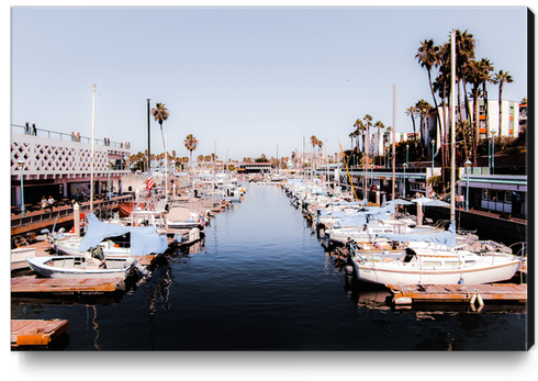 Boat with blue sky at Redondo beach California USA  Canvas Print by Timmy333