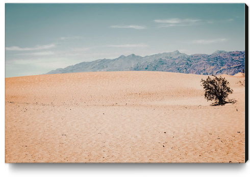 Sand desert and mountain view at Death Valley national park California USA Canvas Print by Timmy333