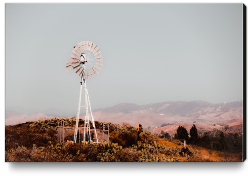 windmill and cactus garden with mountain view and blue sky background Canvas Print by Timmy333