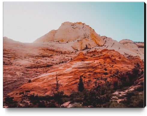 Mountain view at Zion national park Utah USA Canvas Print by Timmy333