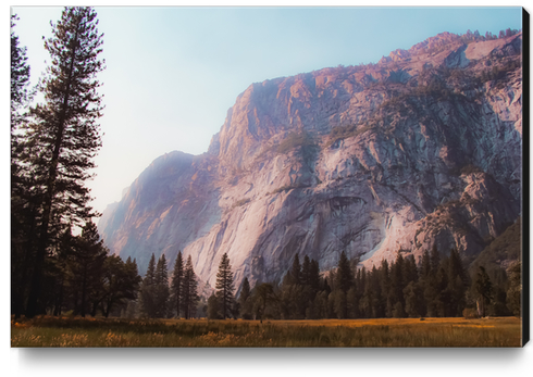 mountain at Yosemite national park California USA Canvas Print by Timmy333