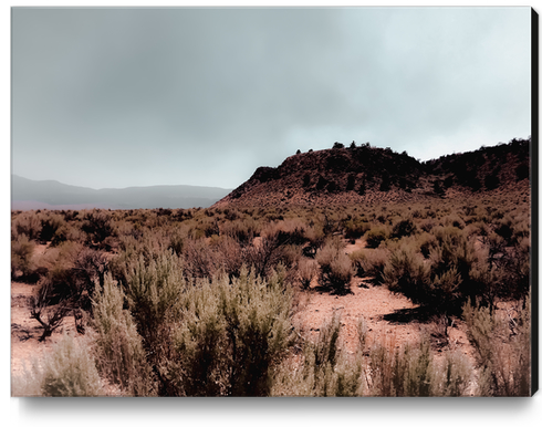 Desert view with foggy blue sky in California USA Canvas Print by Timmy333