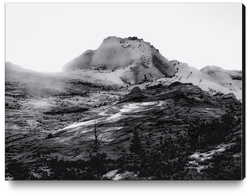 Mountain at Zion national park, Utah in black and white Canvas Print by Timmy333