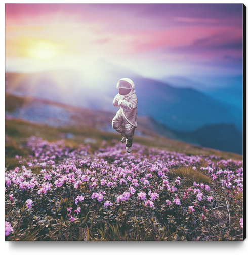 Astronaut's Dream Canvas Print by Eugene Soloviev