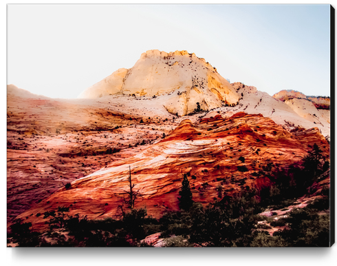 Mountain view in the forest at Zion national park, Utah, USA Canvas Print by Timmy333