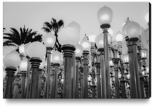 Urban Light at LACMA Los Angeles California USA in black and white Canvas Print by Timmy333