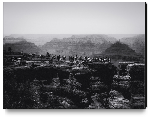 desert view at Grand Canyon national park Arizona USA in black and white Canvas Print by Timmy333