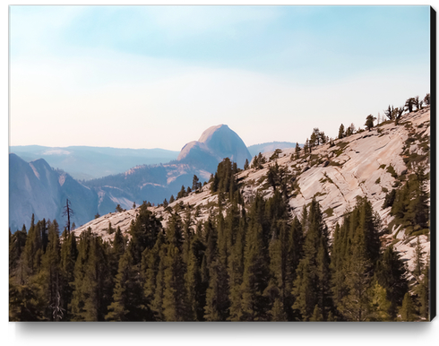 mountain and pine tree at Yosemite national park USA Canvas Print by Timmy333