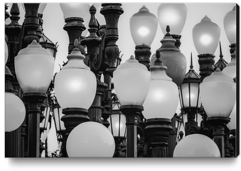 Urban Light at LACMA Los Angeles California USA in black and white Canvas Print by Timmy333