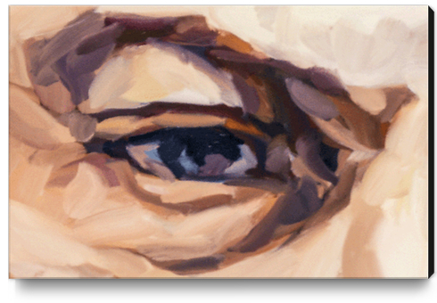 EYE Canvas Print by Jerome Hemain