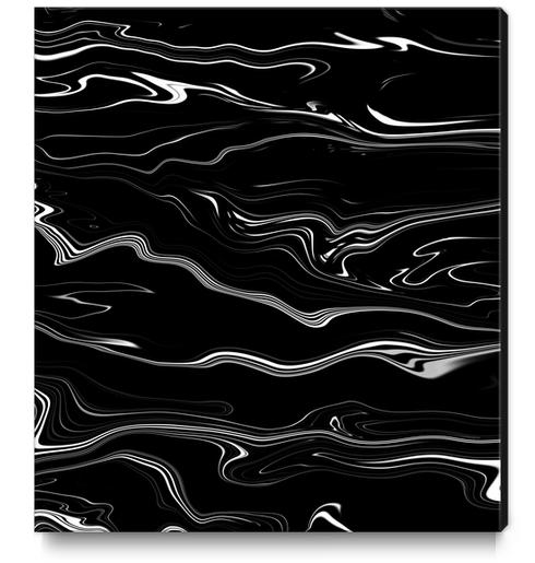 Black & White 15 Canvas Print by hannzoll