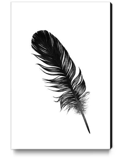 Feather Canvas Print by Nika_Akin