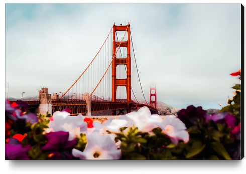 Golden Gate Bridge, San Francisco, USA with blooming flowers Canvas Print by Timmy333