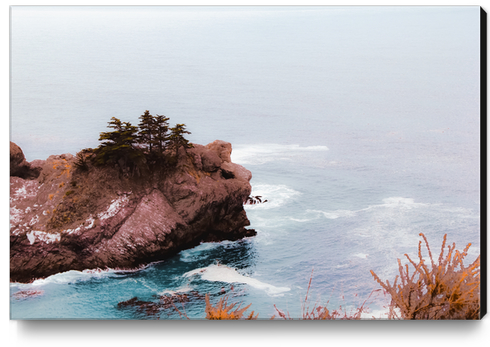 Coastal view at Mcway Falls, Big Sur, Highway 1, California, USA Canvas Print by Timmy333