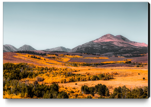 autumn landscape with mountain view and blue sky in California USA Canvas Print by Timmy333