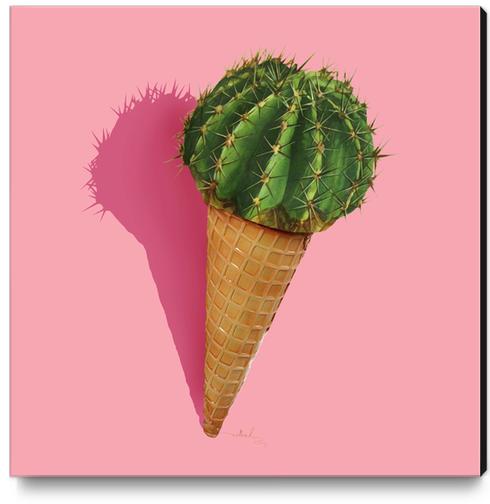 Caramba Cacti Canvas Print by Nettsch