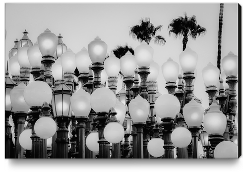 Urban Light at LACMA Los Angeles California USA in black and white Canvas Print by Timmy333