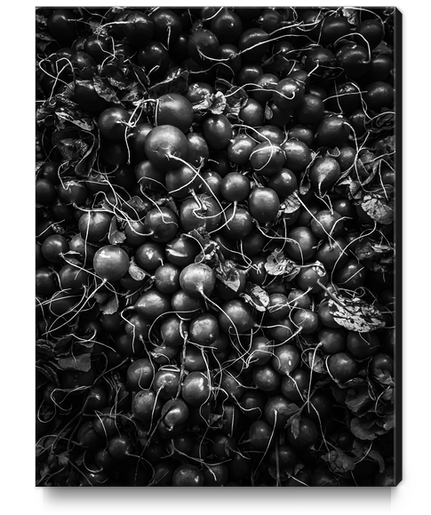 closeup fresh radish texture background in black and white Canvas Print by Timmy333